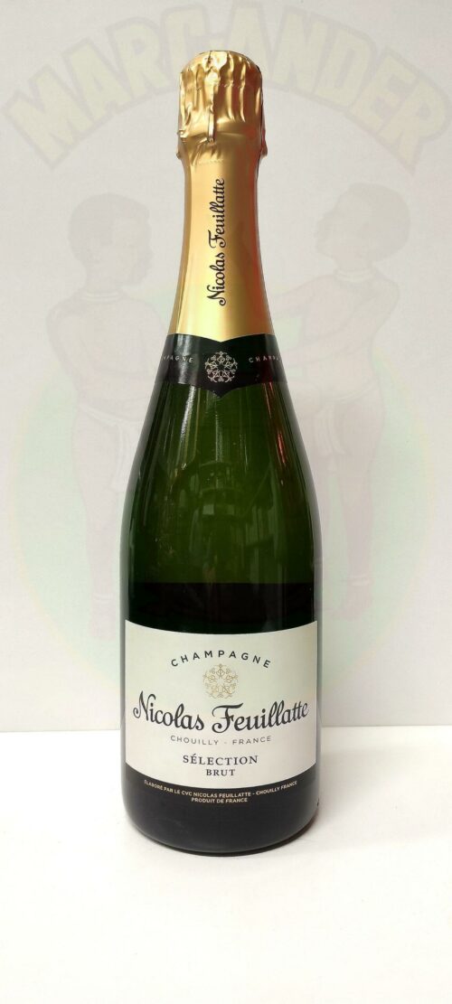 Nicolas Feuillatte Selection Champagne Brut Torrefazone enoteca Siena